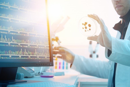 Researcher holding petri dish in a lab