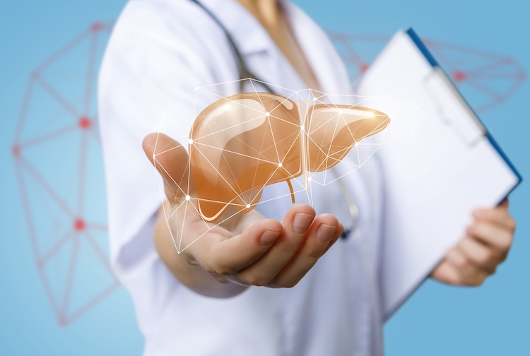 Doctor holding out a digital image of a liver