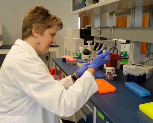 Theresa Swift-Scanlan, Ph.D., works in the Biobehavioral Research Lab in the VCU School of Nursing. (Photo by Leah Small, VCU Public Affairs)