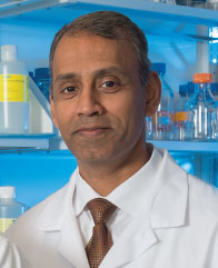 Mohammed Quader, M.D.